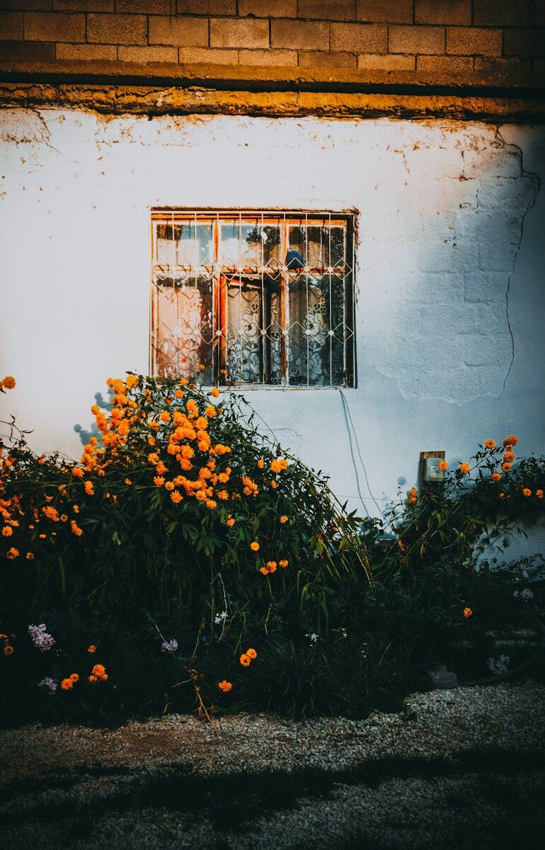 Flowers by a window, used as a respectful illustration of bereavement leave